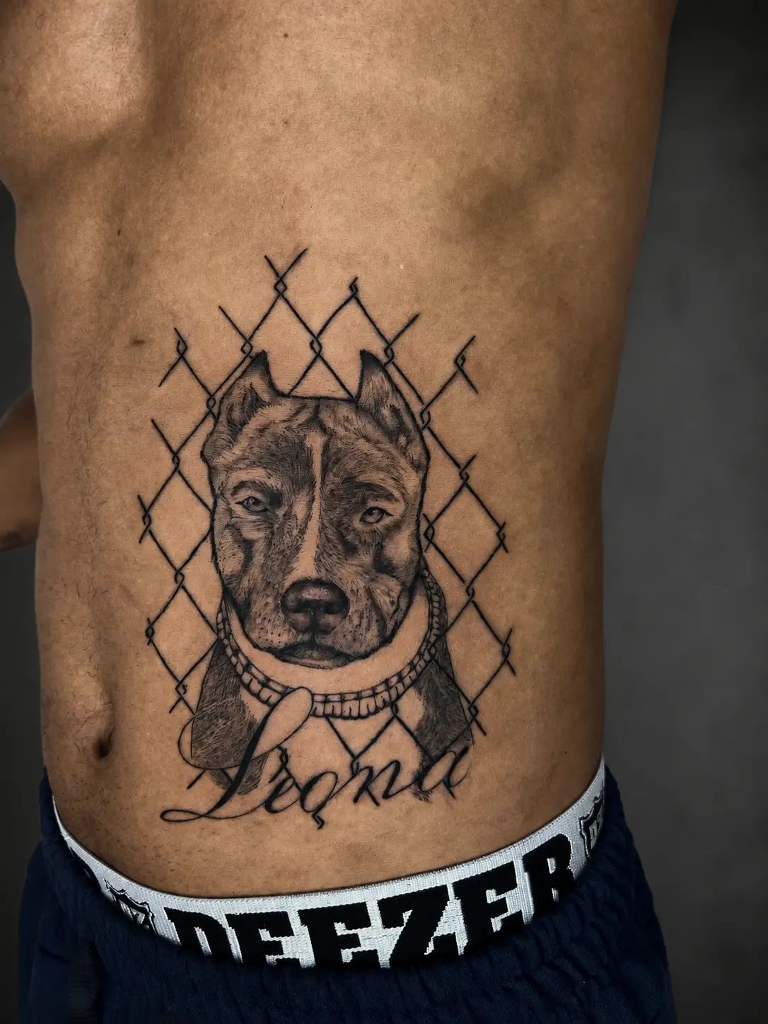 Retrato realista de pitbull com lettering Leona