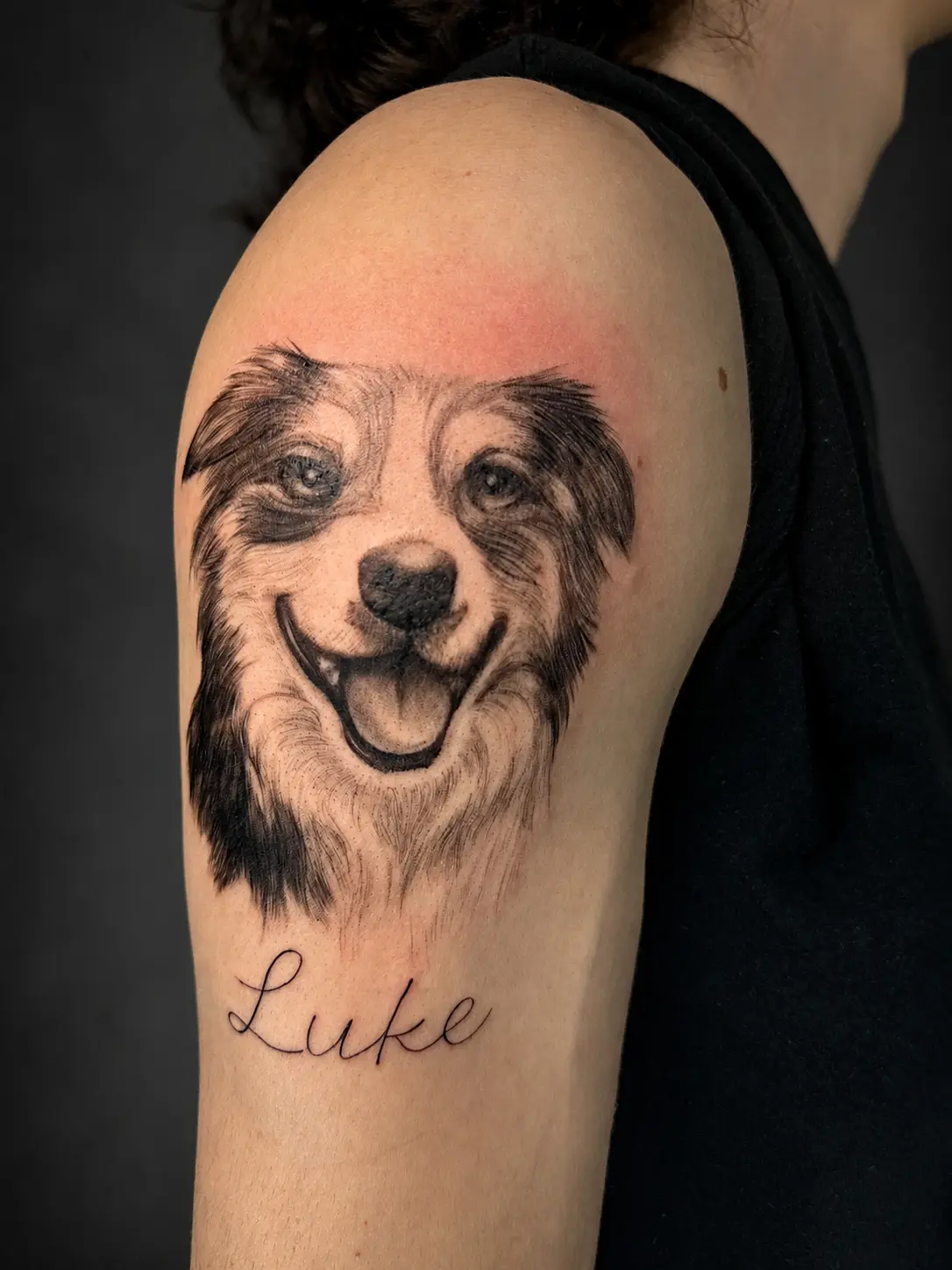 Retrato realista de cachorro com lettering Luke